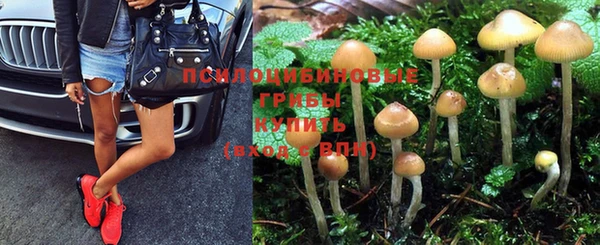 индика Алексеевка