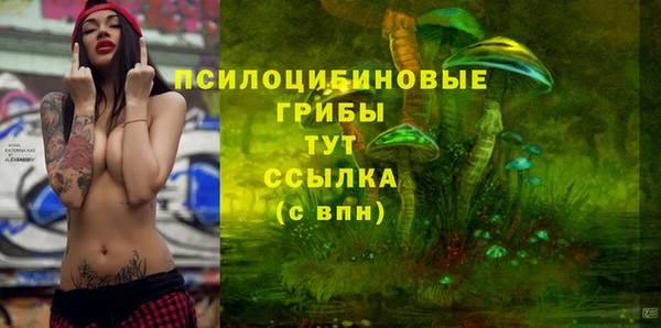 mdpv Магас