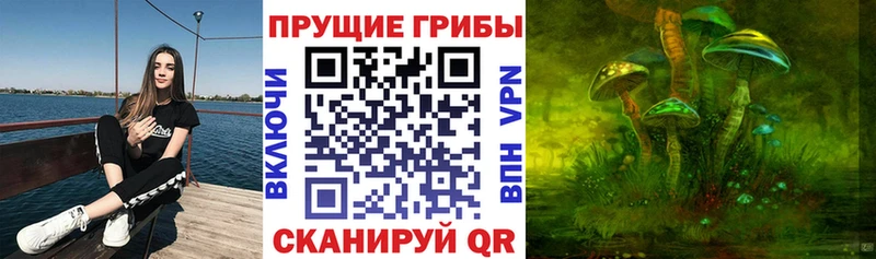 Псилоцибиновые грибы GOLDEN TEACHER  где купить наркоту  Сорочинск 